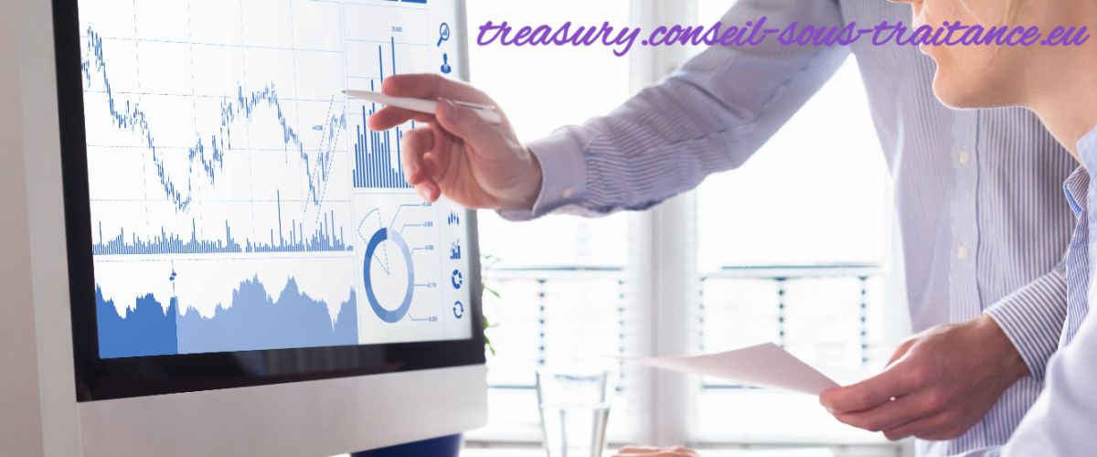 treasury.conseil-sous-traitance.eu
